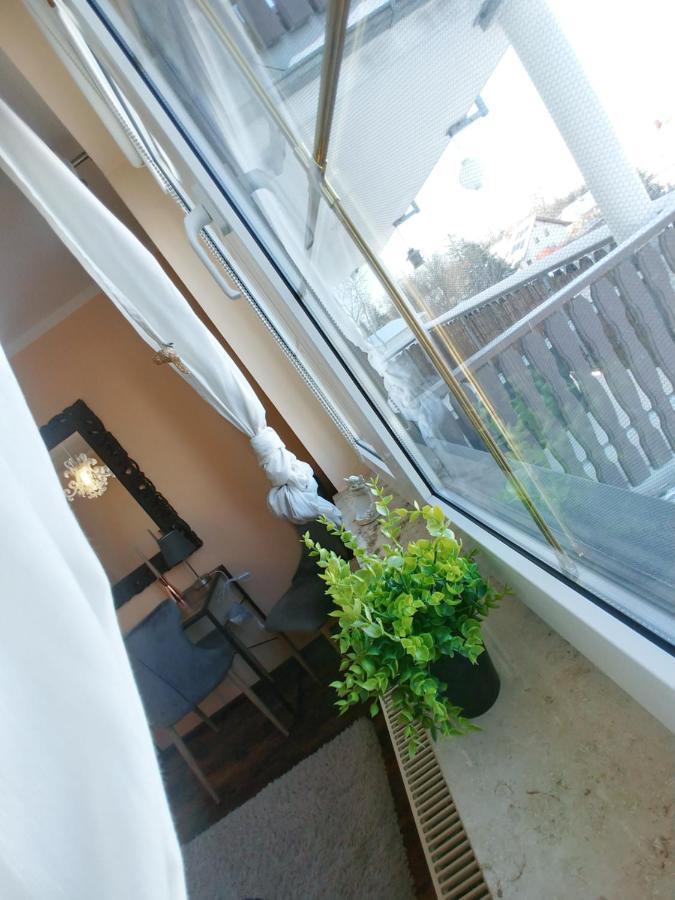 Wohlfuehlzeit Im Zittauer Gebirge Apartment Bagian luar foto